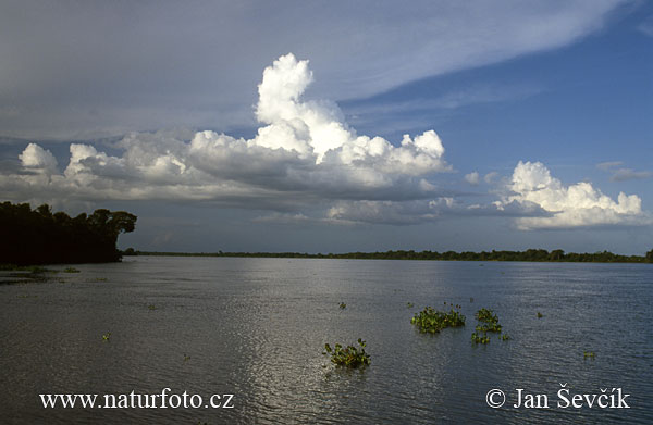 orinoco river on map. Orinoco River Delta