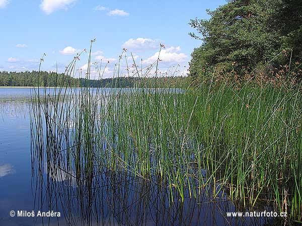 Finnland