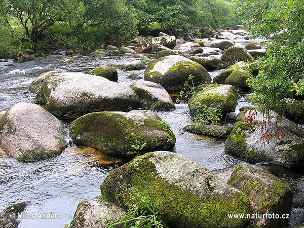 Grã-Bretanha