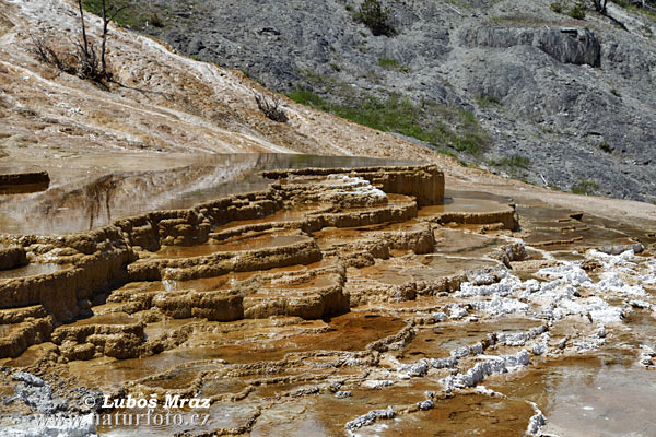 Wyoming, USA