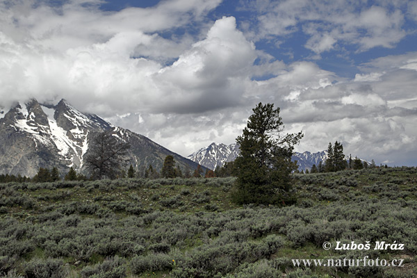 Wyoming, USA