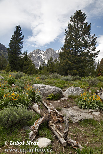 Wyoming, USA