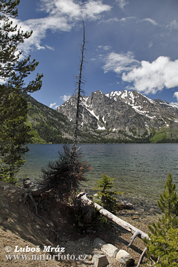 Wyoming, USA