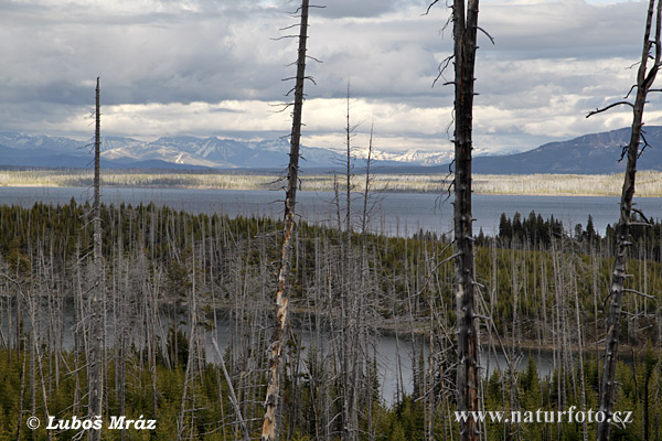 Wyoming, USA