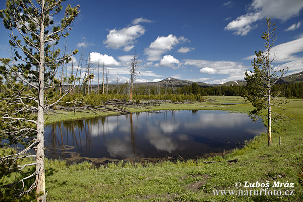 Wyoming, USA