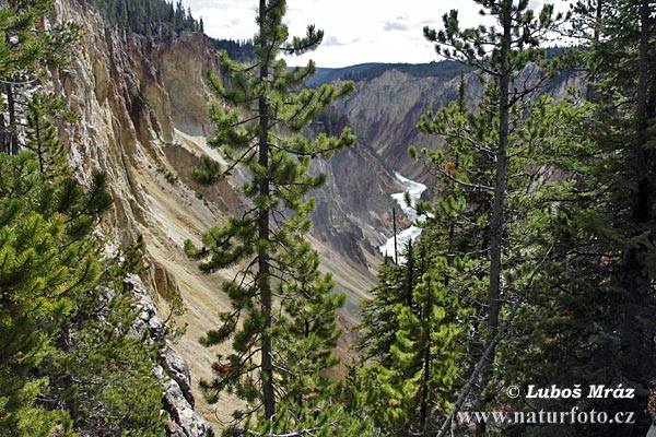 Wyoming, USA