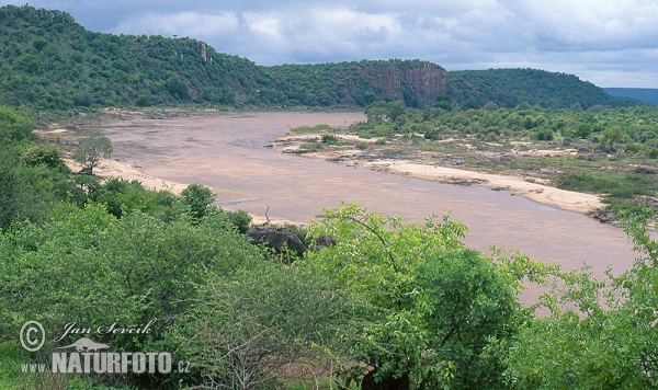 Selatan Afrika