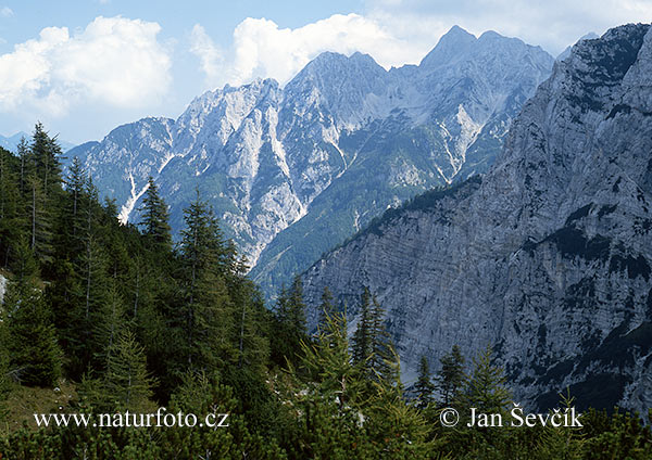 Szlovénia